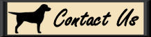 Contact Fairwind Labradors