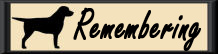 Remembering